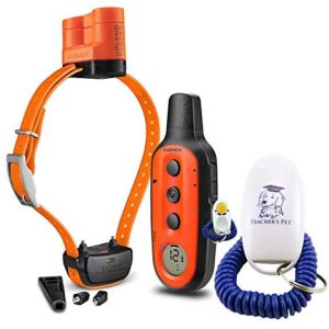 garmin delta upland xc hunting dog collar bundle water resistant, long lasting dog e collar + handheld device with teacher's pet dog training clicker for positive reinforcement