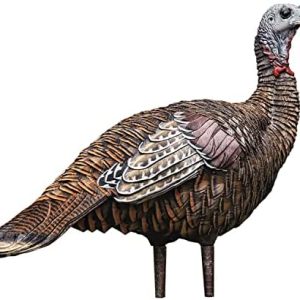 import placeholder for 4307