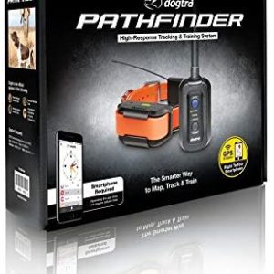 dogtra 4 dog pathfinder mini gps track and train system for smaller breed dogs get 2 free replacement strap and flea comb