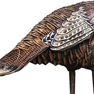 avian x lookout hen turkey decoy, lifelike collapsible decoy, multi, model:8006 pack of 4