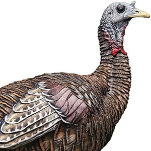 avian x lookout hen turkey decoy, lifelike collapsible decoy, multi, model:8006 pack of 4