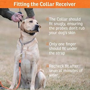 sportdog brand contain + train add a dog collar additional, replacement, or extra in ground fence + remote training collar waterproof and rechargeable with tone, vibrate, and static