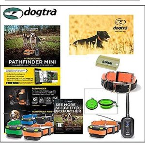 dogtra 4 dog pathfinder mini gps track and train system for smaller breed dogs get 2 free replacement strap and flea comb