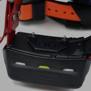 garmin tt 15 dog device