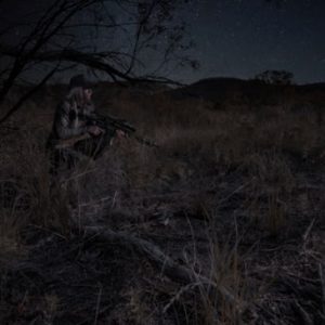sightmark wraith night vision