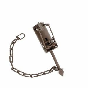 import placeholder for 1448