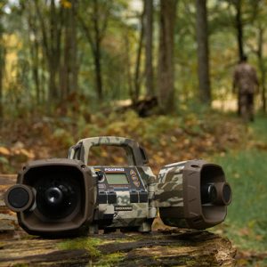 shockwavedigital game call